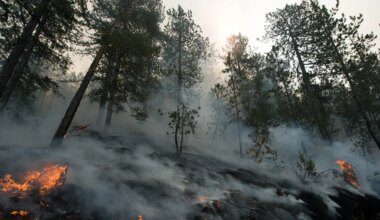 Na Braču izbio novi požar, u akciji gašenja učestvuje kanader