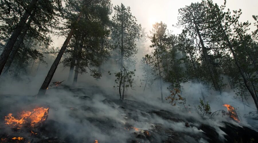Na Braču izbio novi požar, u akciji gašenja učestvuje kanader