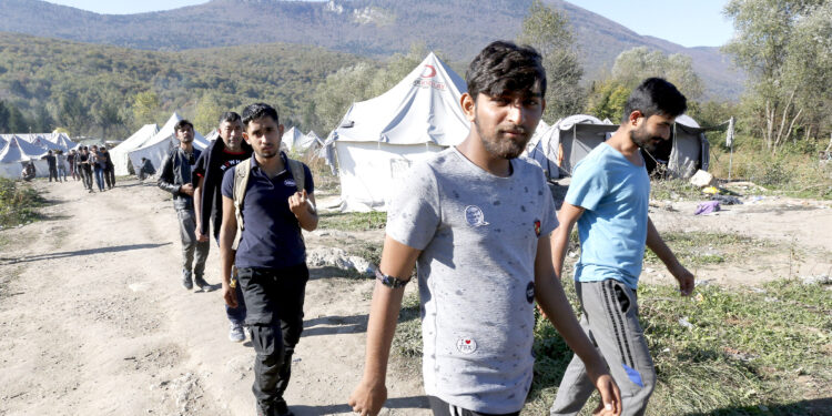 Nemačka sprema proveru zaštite Sirijaca: Prvi na redu nezaposleni | Srpska dijaspora
