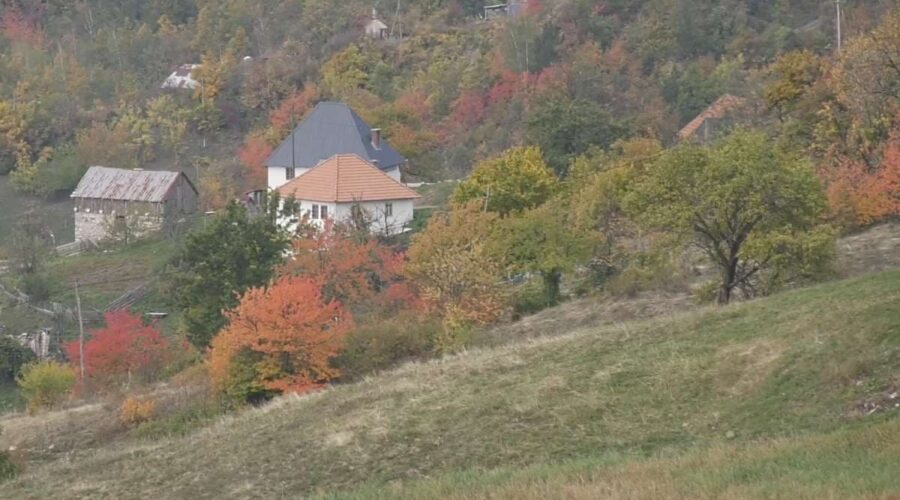 Nova uredba Vlade Srbije: Majkama omogućena bespovratna pomoć do 2,5 miliona dinara za kupovinu seoske kuće