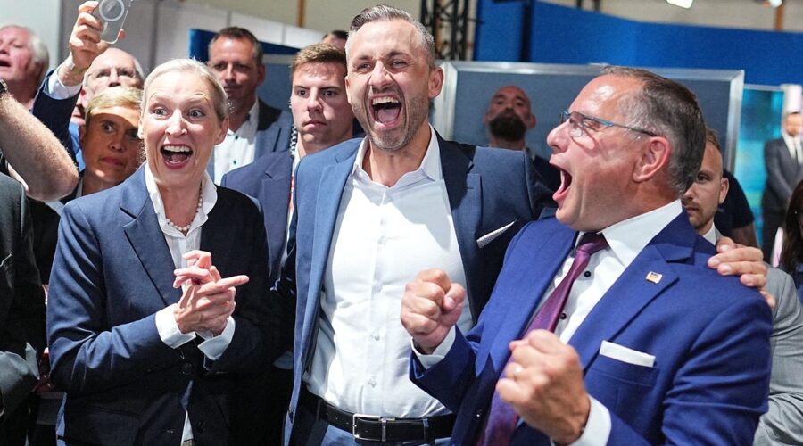 “Ovo je poziv na buđenje” Holandski premijer upozorava: Pobeda AfD-a u Nemačkoj zabrinula Evropu