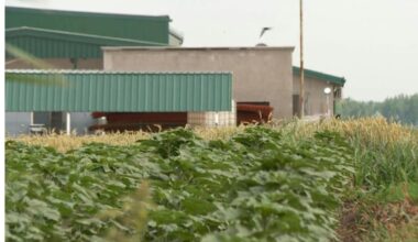 PORUKE O MILENKOVIĆU U CENTRU SUĐENJA U SLUČAJU „JOVANJICA“: Inspektora zvanog „Mali Senta“ vređali nazivajući ga „Ludi Sentić“!