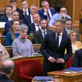 Peteru Mađaru ukinut imunitet zbog oduzimanja i bacanja telefona u Dunav