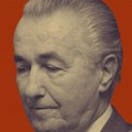 Poraslo dete, osamostalilo se