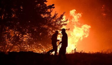Požar kod Slavonskog Broda se razbuktao, gori 15 hektara