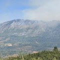 Požar na Suvoj planini i dalje aktivan, u toku je akcija gašenja iz vazduha