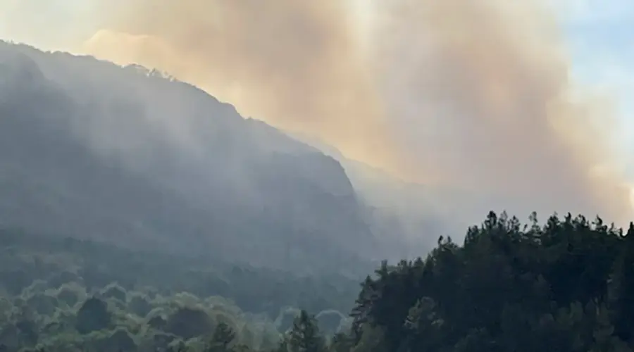 Požar se još uvek širi Suvom planinom: Gašenje otežava veoma nepristupačan teren, bez izvora vode i planinskih puteva