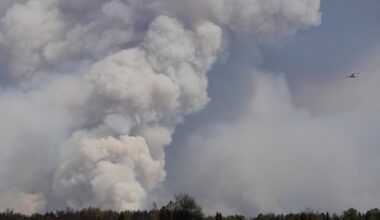 Požar u Liparu blizu Jagodine pod kontrolom, gorelo oko 20 hektara trave i rastinja | Srpska dijaspora