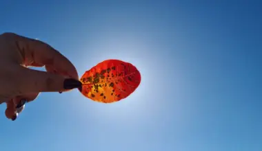 Pretežno sunčano vreme, temperature do 26 stepeni