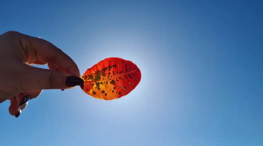 Pretežno sunčano vreme, temperature do 26 stepeni