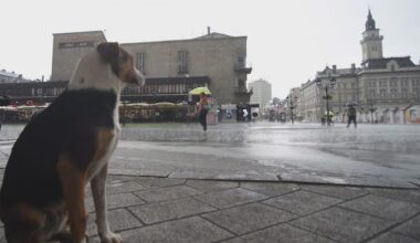 Vremenska prognoza: Oblačno sa kišom, a za vikend toplije