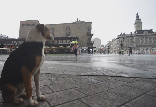 Prognoza vremena za utorak, 15. septembar: Oblačno sa lokalnom kišom