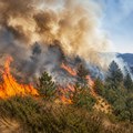 RHMZ upozorava: Suša i vrućine ne posustaju – visoka opasnost od požara širom Srbije