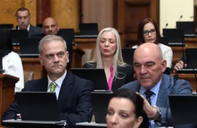 SAZNAJEMO Borko Stefanović, Jelena Milošević, Vladimir Vrsajkov i Goran Petrović iz SSP povukli svoja imena sa liste „Evropska Srbija“
