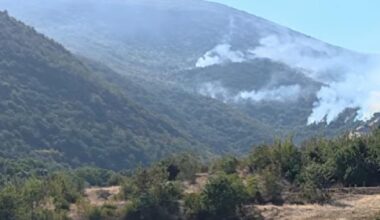 Situacija sa požarima u Severnoj Makedoniji alarmantna: Vatrogasci su iscrpljeni, gori na 20 lokacija | Srpska dijaspora