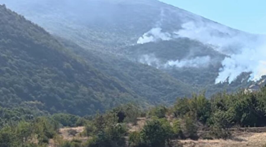 Situacija sa požarima u Severnoj Makedoniji alarmantna: Vatrogasci su iscrpljeni, gori na 20 lokacija | Srpska dijaspora