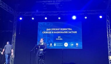 Srpska trobojka okupila 1.500 ljudi u Beču: Srbi ponosno stoje pod svojom zastavom | Srpska dijaspora
