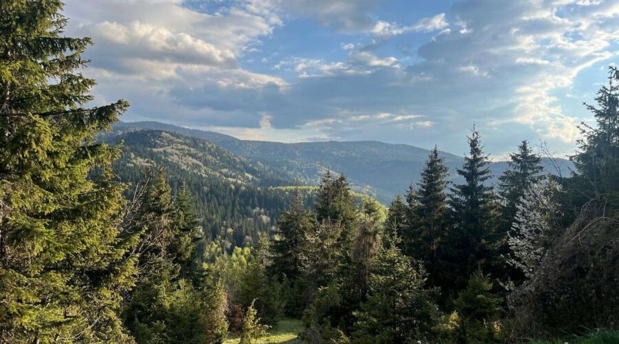 Stiglo osveženje: danas niže temperature, na planinama oko 20 stepeni