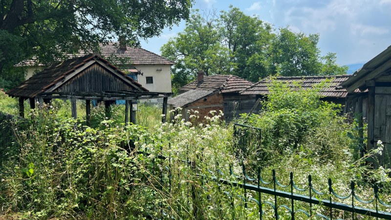 Studentski plan za poljoprivredu: Borba protiv uvozničkih lobija i opstanak mladih na selu