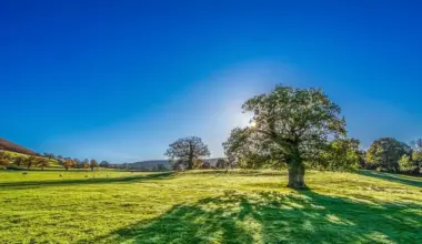 Sunčano i toplo u Srbiji, temperatura do 33 stepena