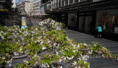 Sutra nas čeka pretežno sunčan i topao dan: Temperature do 33 stepena