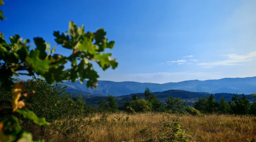 U Nišu danas pretežno sunčano, temperatura do 33 stepena