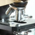 U Srbiji se godišnje otkrije oko 520 slučajeva multiplog mijeloma