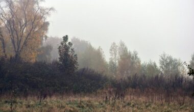 U ovom delu Srbije temperatura 6 stepeni