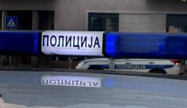U udesu u Nišu stradao još jedan konj iz krda koje se slobodno kreće gradom
