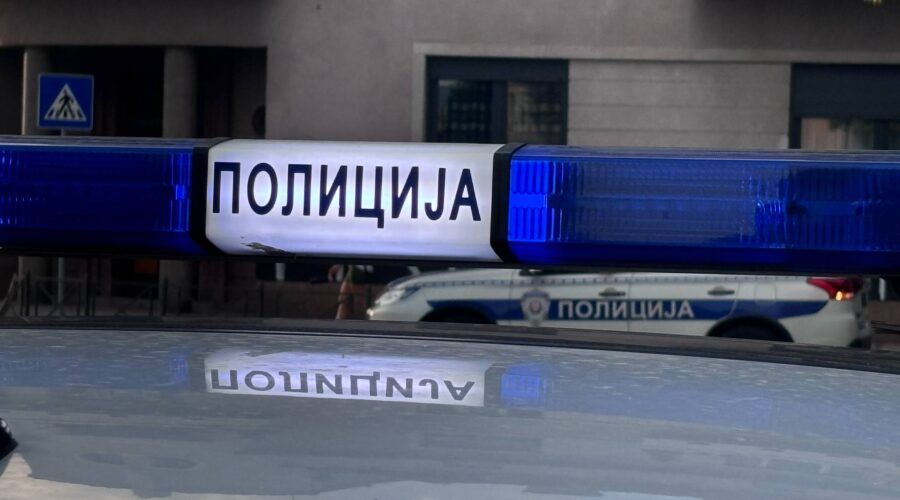 U udesu u Nišu stradao još jedan konj iz krda koje se slobodno kreće gradom