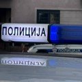 U udesu u Nišu stradao još jedan konj iz krda koje se slobodno kreće gradom