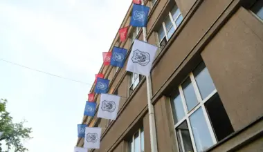 Učenici Pete beogradske stali uz otpuštenu profesorku: Nije maltretirala đake | Srpska dijaspora