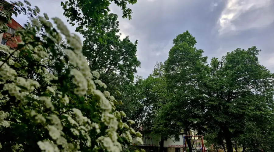 Ujutru vedro i hladno, posle podne oblačno i mestimično kiša