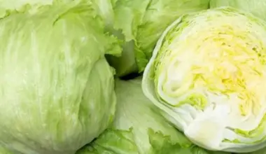 Uzbuna u nemačkim marketima: Iceberg salata povučena zbog salmonele | Srpska dijaspora
