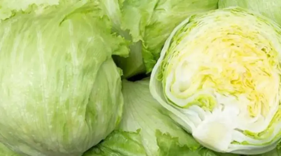 Uzbuna u nemačkim marketima: Iceberg salata povučena zbog salmonele | Srpska dijaspora