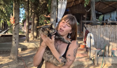 (Video): Jelena je izgubila dom, ali ono što joj je sudbina iskrojila je za film! Sa par kesa došla Novi Sad, put je vodi na daleki Island, a onda nazad u Srbiju