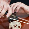 Vivaldi pod zvezdama i izložba Ivane Živić u vrtu Palate Madlena