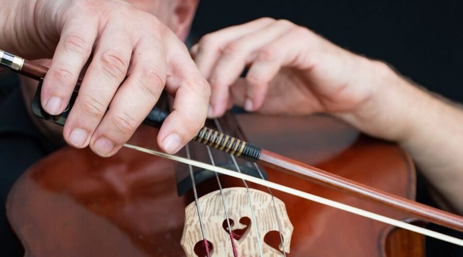 Vivaldi pod zvezdama i izložba Ivane Živić u vrtu Palate Madlena