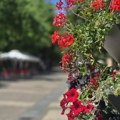 Vreme danas sunčano sa slabim vetrom, popodne naoblačenje