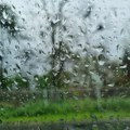 Vreme do kraja septembra: Kiša, pa porast temperature