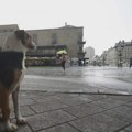 Vremenska prognoza: Oblačno sa kišom, a za vikend toplije