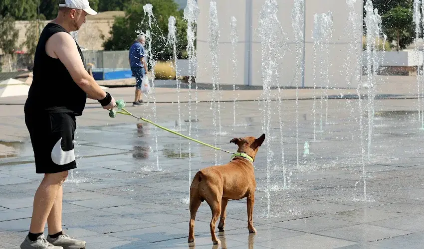 Vremenska prognoza za četvrtak, 17. septembar: Danas sunčano, temperatura do 32 stepena