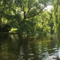Za četvrtak se najavljuje temperatura ispod 30 stepeni