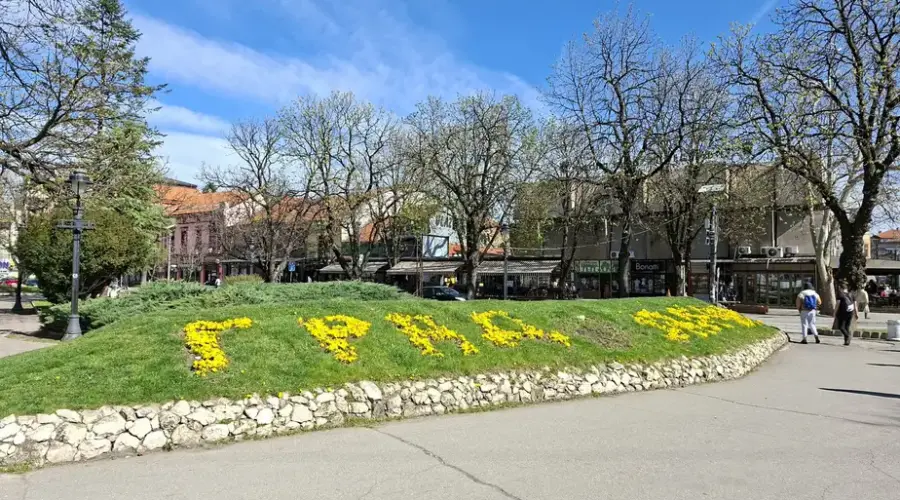 Zaječarci će na više lokacija moći da se upoznaju sa „Studentskim planom“