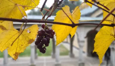 Zvanično počela jesen, stižu kraći dani