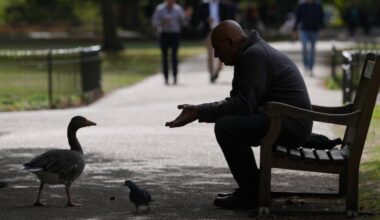 Srbiju do polovine oktobra očekuju sunčani i topli dani