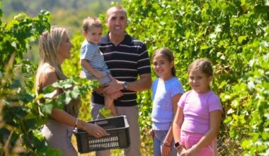 Sigurnost od vinograda do boce