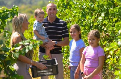 Sigurnost od vinograda do boce