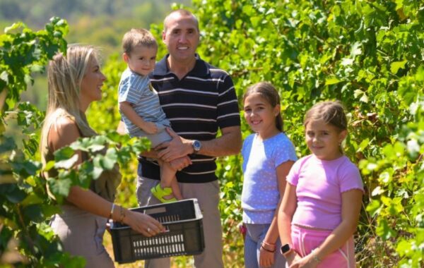 Sigurnost od vinograda do boce