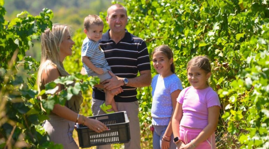 Sigurnost od vinograda do boce
